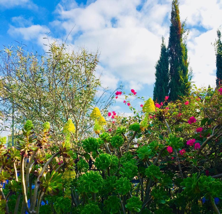 אלורה Bohemian Villa - Malaga מראה חיצוני תמונה