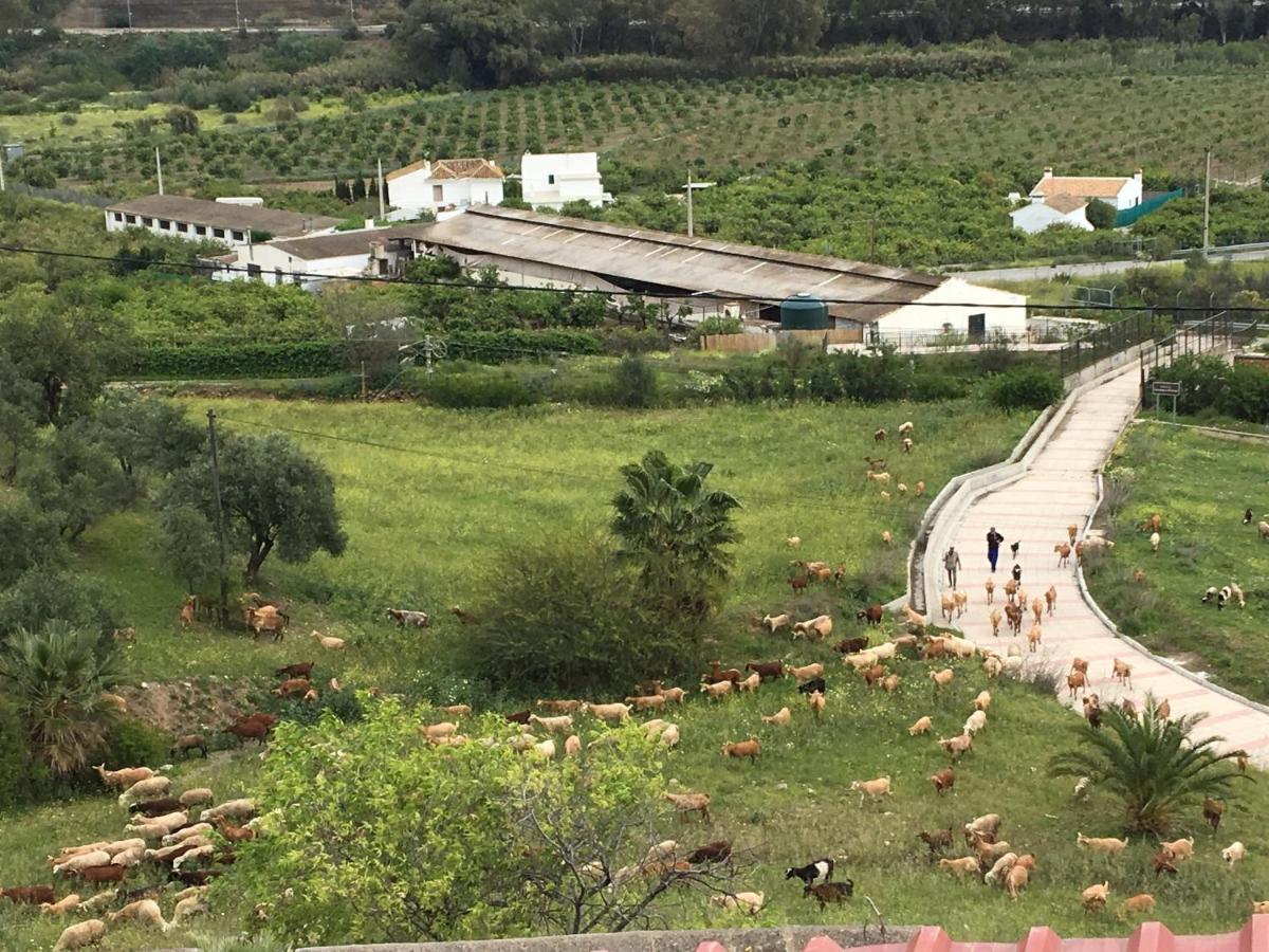 אלורה Bohemian Villa - Malaga מראה חיצוני תמונה